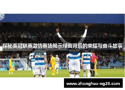 探秘英冠联赛激情赛场揭示绿茵背后的荣耀与奋斗故事
