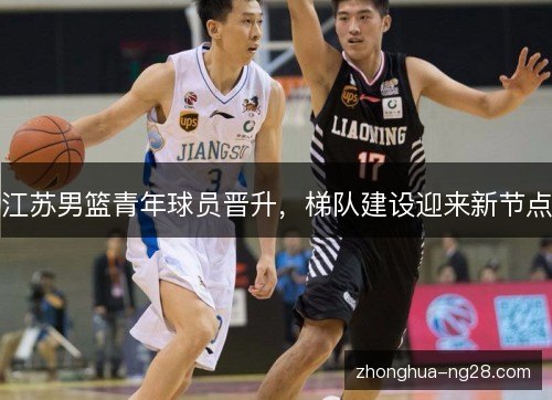 江苏男篮青年球员晋升，梯队建设迎来新节点